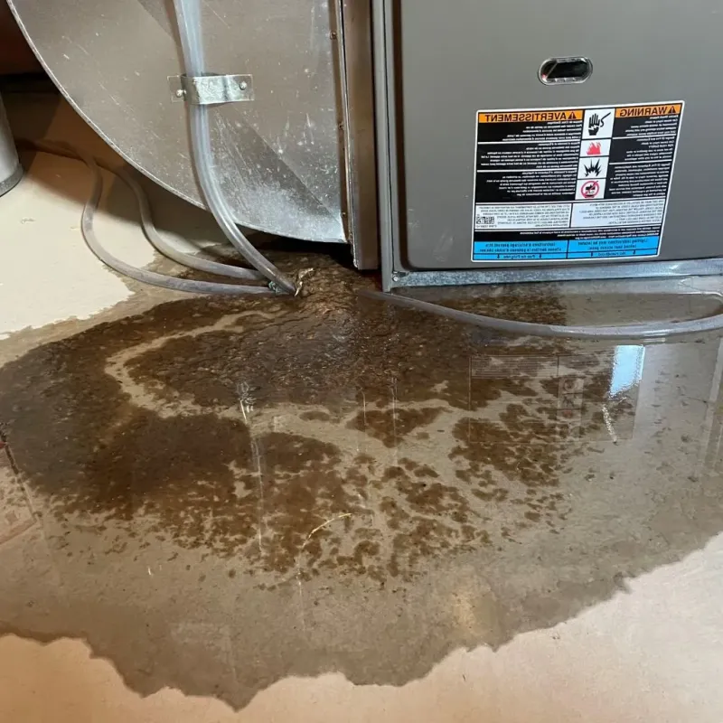 Pipe Burst and Leak Restoration in Cudahy, WI